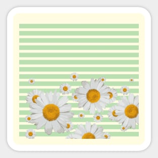 Daisy flower mnimal stripes white cute Sticker